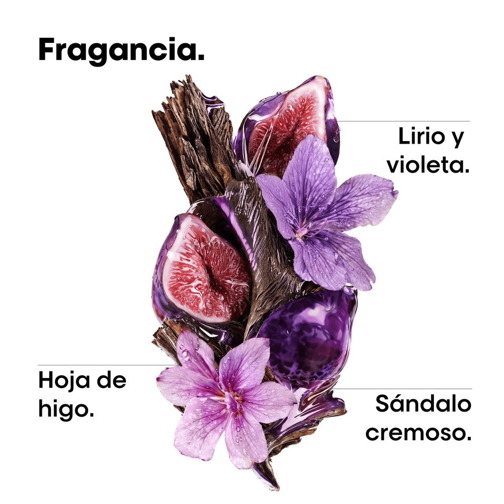 Imagen 5