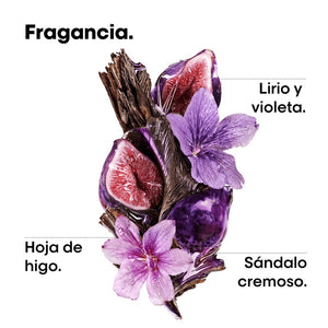 Imagen 5